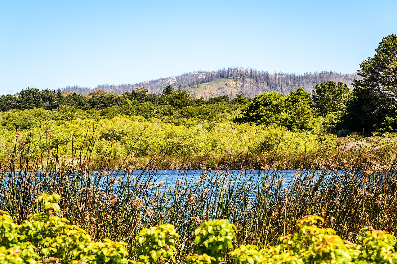 Ano Nuevo State Park