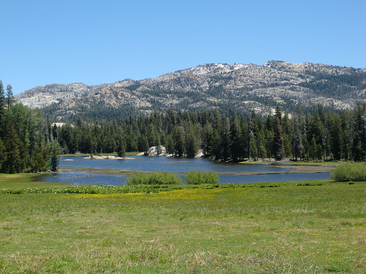 Calaveras Big Trees State Park - Mountain landscape with lake and pine trees