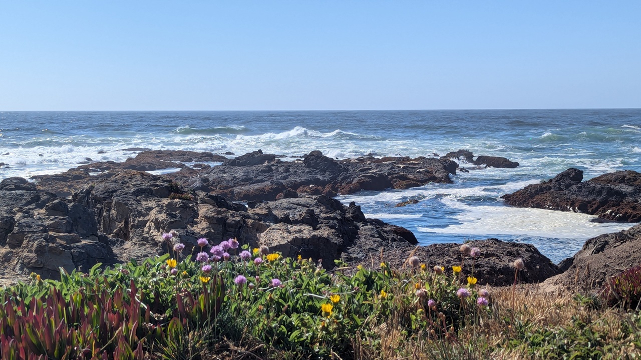 MacKerricher State Park - Rocky coastal scene with wildflowers and crashing waves